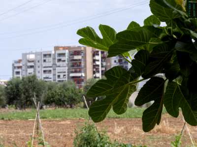 ...si respira ancora l�aria della campagna di una volta